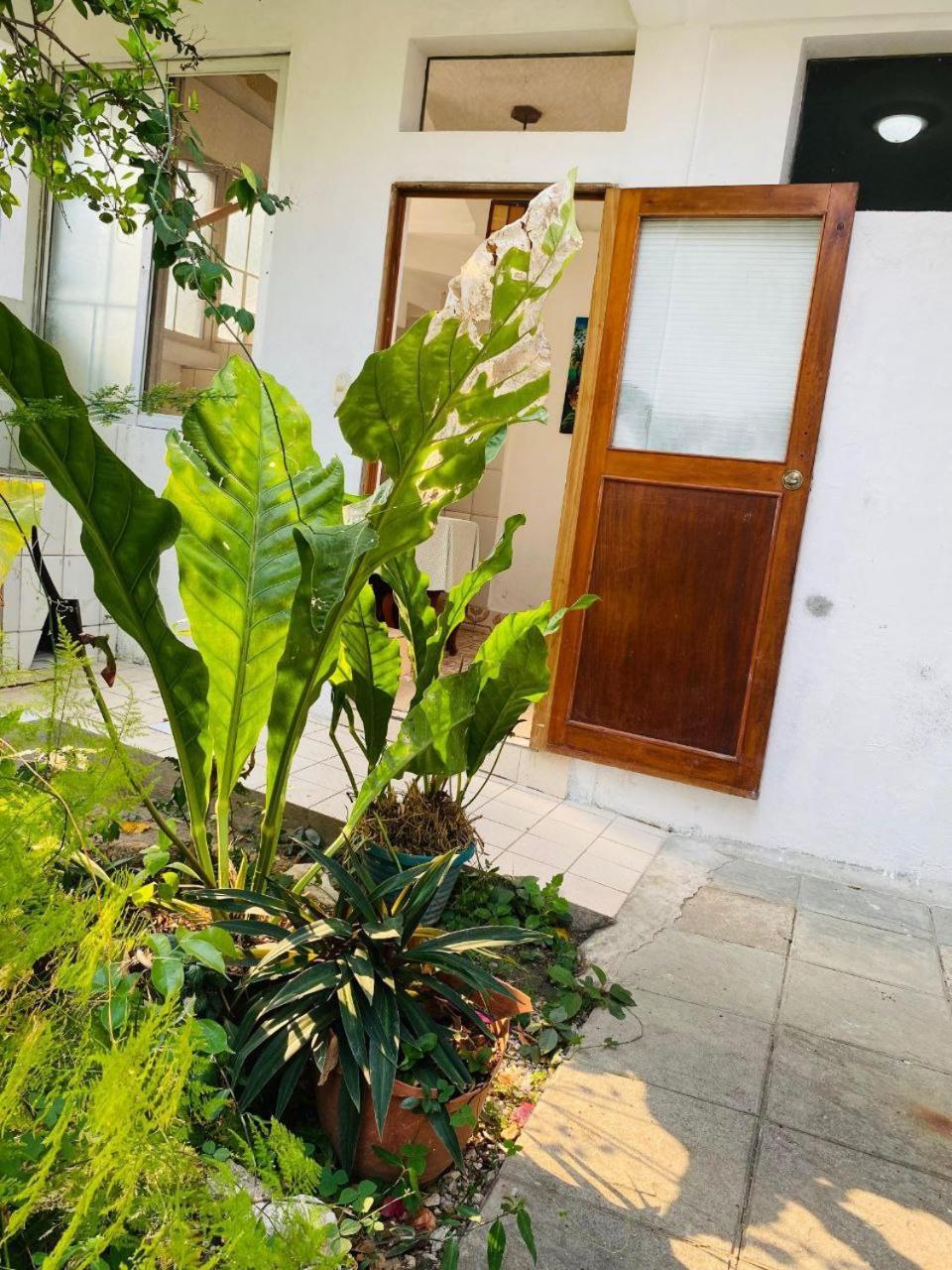 מלון פלורס Casa Mima מראה חיצוני תמונה